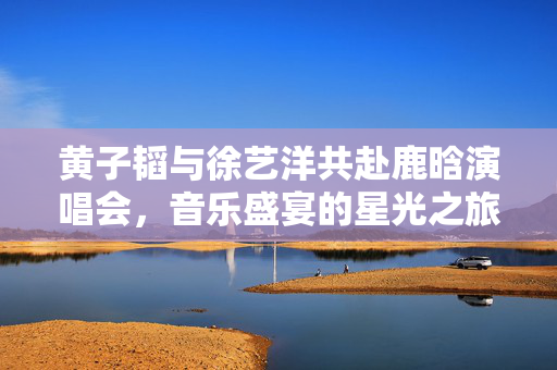 黄子韬与徐艺洋共赴鹿晗演唱会，音乐盛宴的星光之旅