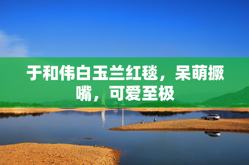 于和伟白玉兰红毯，呆萌撅嘴，可爱至极