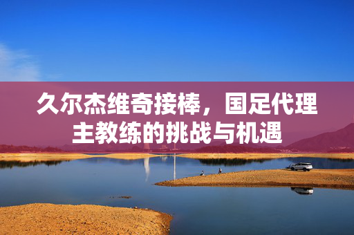久尔杰维奇接棒，国足代理主教练的挑战与机遇