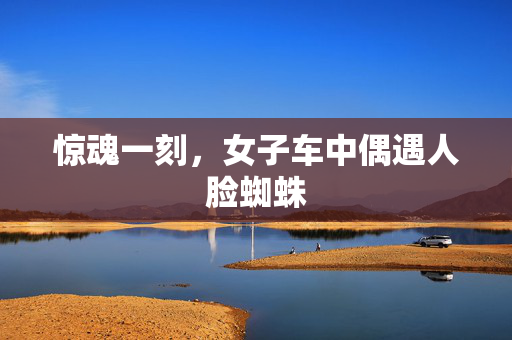 惊魂一刻，女子车中偶遇人脸蜘蛛