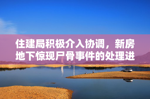 住建局积极介入协调，新房地下惊现尸骨事件的处理进展