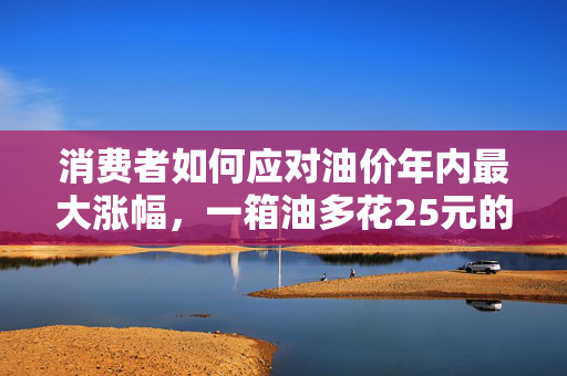 消费者如何应对油价年内最大涨幅，一箱油多花25元的策略
