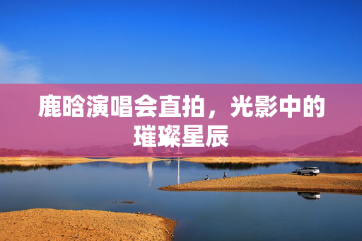 鹿晗演唱会直拍，光影中的璀璨星辰