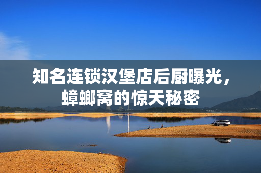 知名连锁汉堡店后厨曝光，蟑螂窝的惊天秘密