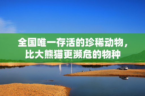 全国唯一存活的珍稀动物，比大熊猫更濒危的物种