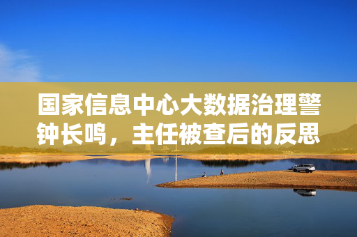 国家信息中心大数据治理警钟长鸣，主任被查后的反思与行动指南