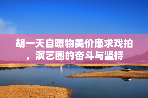 胡一天自曝物美价廉求戏拍，演艺圈的奋斗与坚持