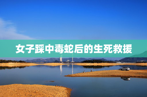 女子踩中毒蛇后的生死救援