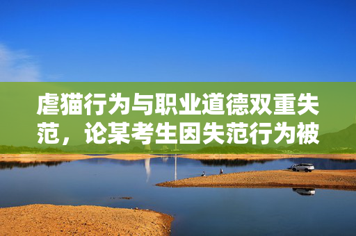 虐猫行为与职业道德双重失范，论某考生因失范行为被取消招聘资格的深刻反思
