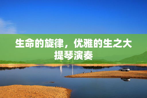 生命的旋律，优雅的生之大提琴演奏