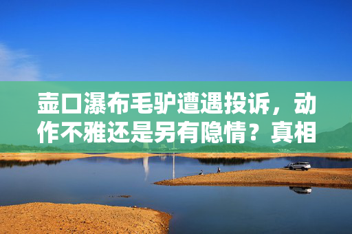 壶口瀑布毛驴遭遇投诉，动作不雅还是另有隐情？真相揭秘