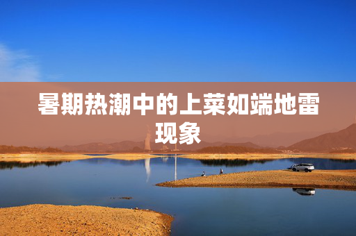 暑期热潮中的上菜如端地雷现象
