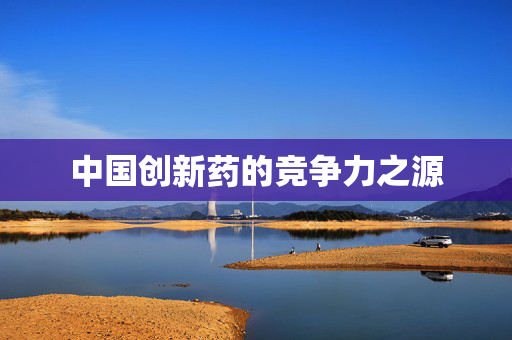 中国创新药的竞争力之源