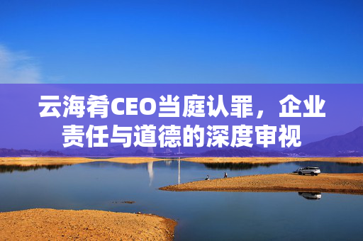 云海肴CEO当庭认罪，企业责任与道德的深度审视