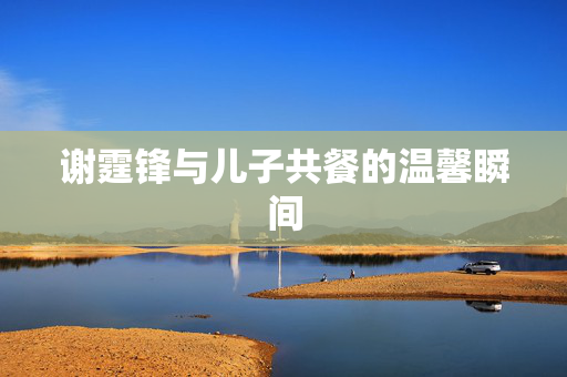 谢霆锋与儿子共餐的温馨瞬间