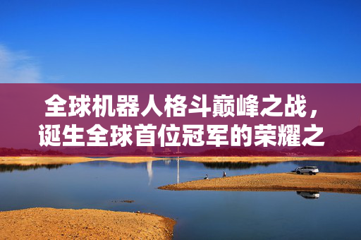 全球机器人格斗巅峰之战，诞生全球首位冠军的荣耀之战