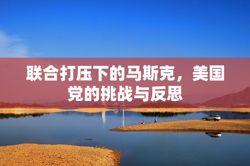 联合打压下的马斯克，美国党的挑战与反思