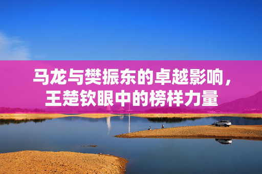 马龙与樊振东的卓越影响，王楚钦眼中的榜样力量