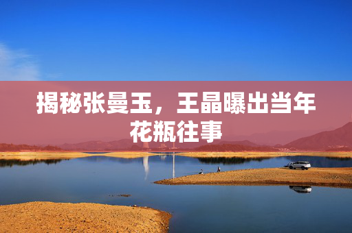 揭秘张曼玉，王晶曝出当年花瓶往事
