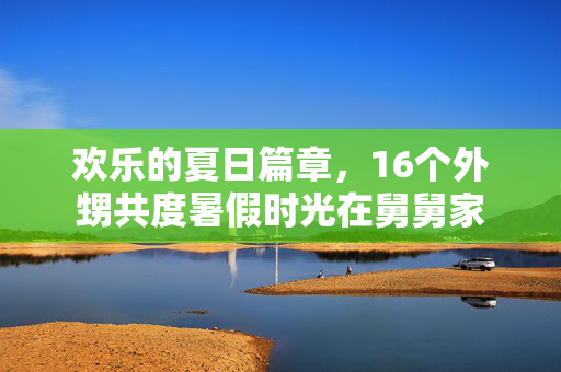 欢乐的夏日篇章，16个外甥共度暑假时光在舅舅家