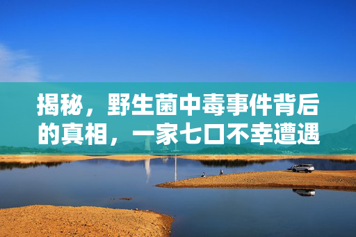 揭秘，野生菌中毒事件背后的真相，一家七口不幸遭遇的悲剧