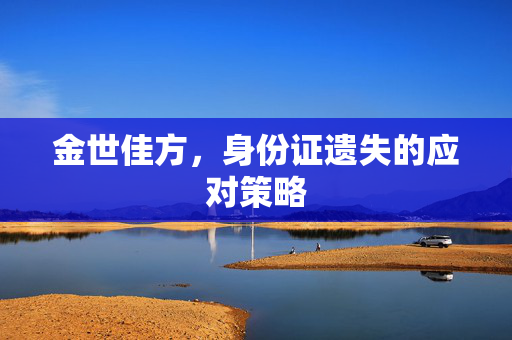 金世佳方，身份证遗失的应对策略