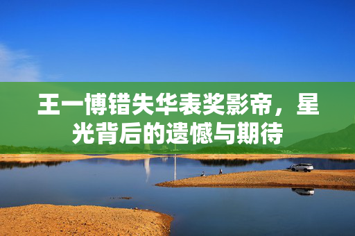 王一博错失华表奖影帝，星光背后的遗憾与期待