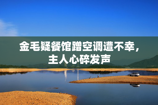 金毛疑餐馆蹭空调遭不幸，主人心碎发声
