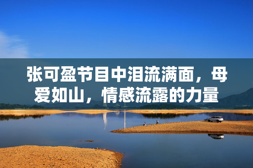 张可盈节目中泪流满面，母爱如山，情感流露的力量