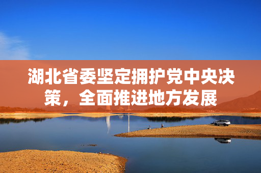 湖北省委坚定拥护党中央决策，全面推进地方发展