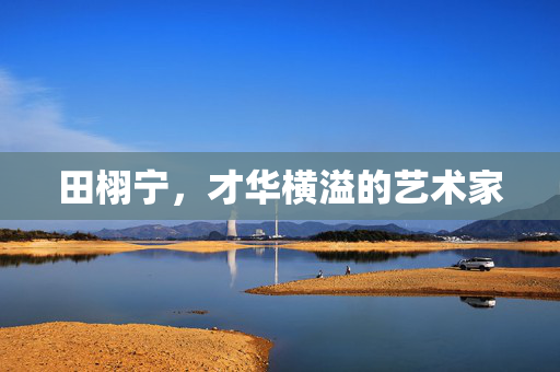 田栩宁，才华横溢的艺术家