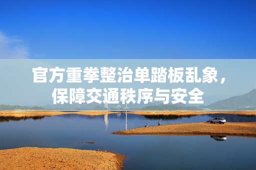 官方重拳整治单踏板乱象，保障交通秩序与安全
