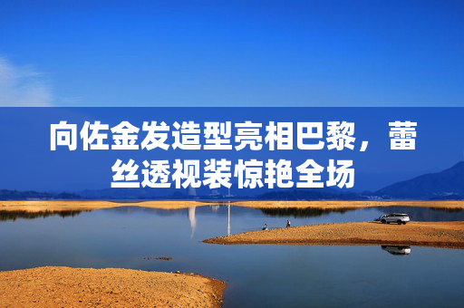 向佐金发造型亮相巴黎，蕾丝透视装惊艳全场