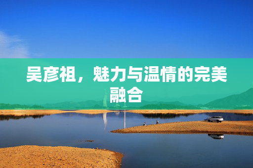 吴彦祖，魅力与温情的完美融合