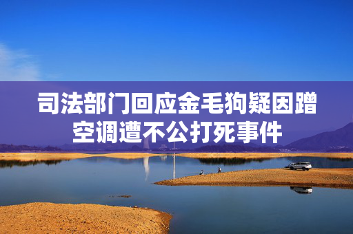 司法部门回应金毛狗疑因蹭空调遭不公打死事件
