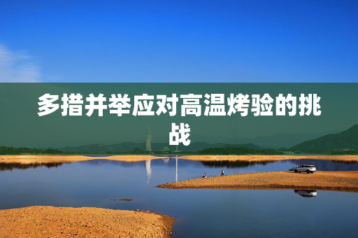 多措并举应对高温烤验的挑战