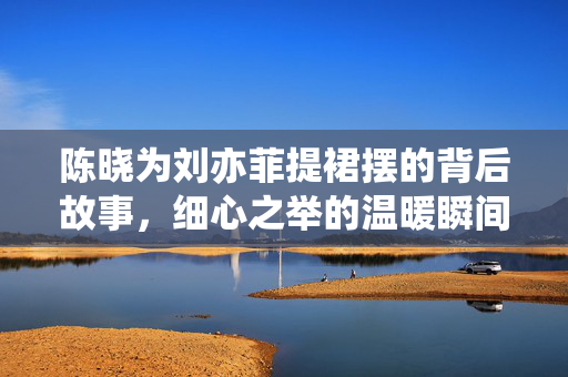 陈晓为刘亦菲提裙摆的背后故事，细心之举的温暖瞬间