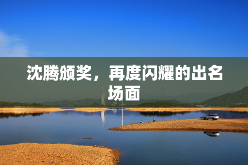 沈腾颁奖，再度闪耀的出名场面