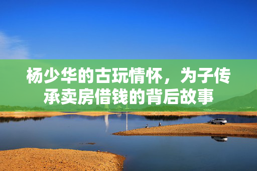 杨少华的古玩情怀，为子传承卖房借钱的背后故事