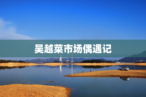 吴越菜市场偶遇记
