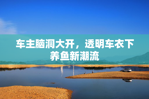 车主脑洞大开，透明车衣下养鱼新潮流