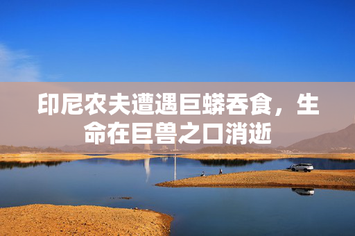 印尼农夫遭遇巨蟒吞食，生命在巨兽之口消逝