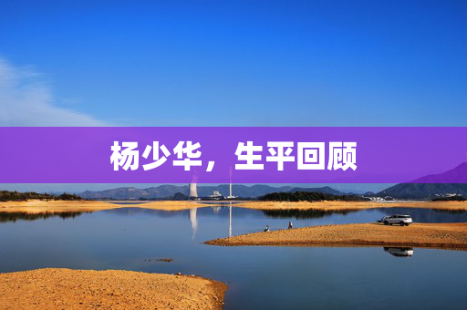 杨少华，生平回顾