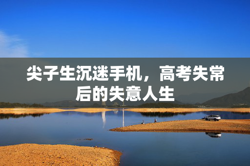 尖子生沉迷手机，高考失常后的失意人生