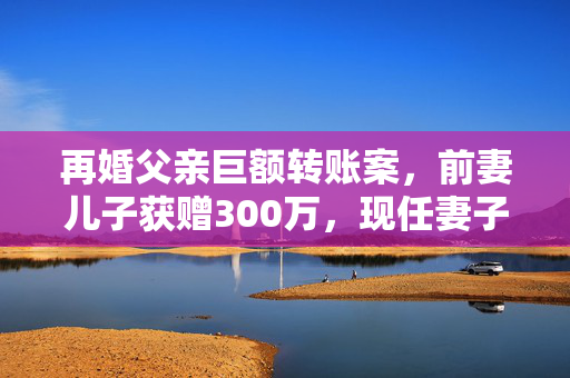 再婚父亲巨额转账案，前妻儿子获赠300万，现任妻子愤而告上法庭