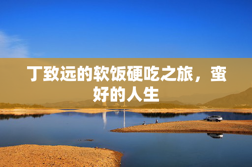 丁致远的软饭硬吃之旅，蛮好的人生