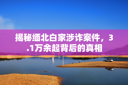 揭秘缅北白家涉诈案件，3.1万余起背后的真相