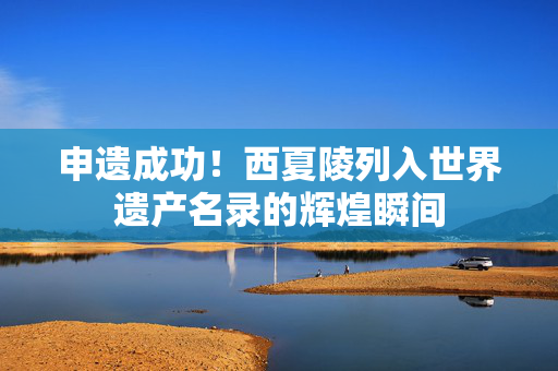 申遗成功！西夏陵列入世界遗产名录的辉煌瞬间