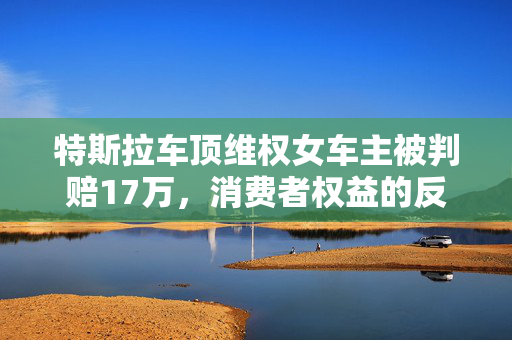 特斯拉车顶维权女车主被判赔17万，消费者权益的反思与展望