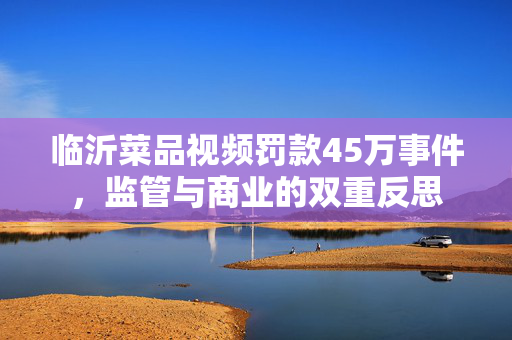 临沂菜品视频罚款45万事件，监管与商业的双重反思